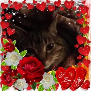 Meet your Posher, Sue